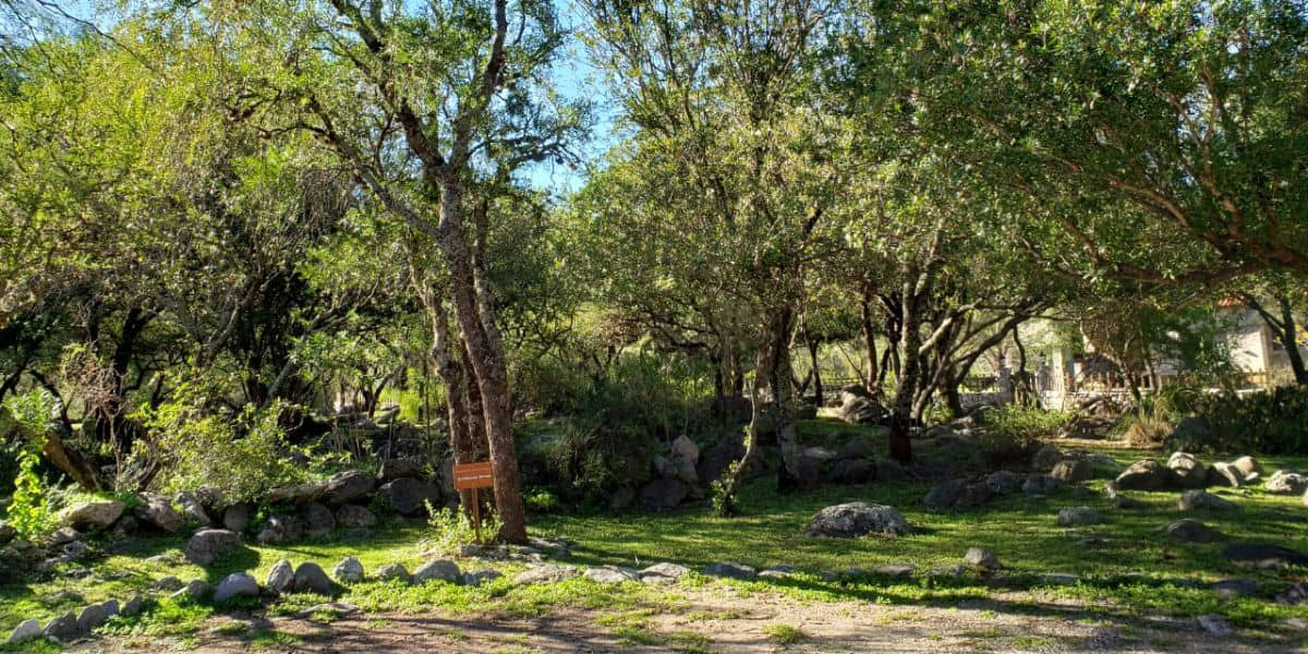 naturaleza-merlo-san-luis-la-quinta-resort