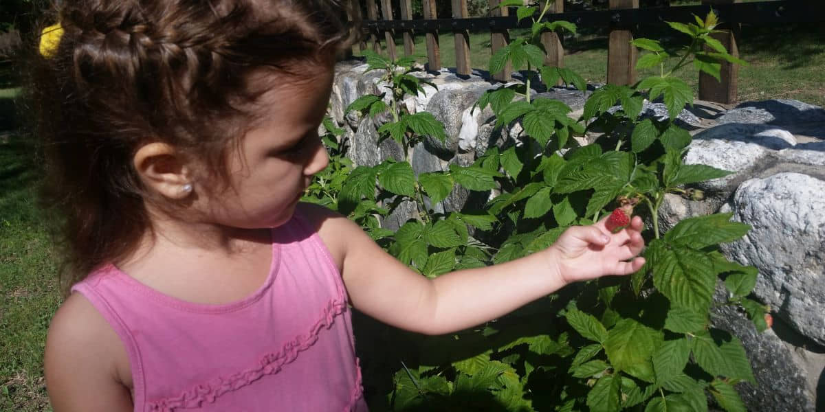 niños-en-la-naturaleza-merlo-san-luis-la-quinta-resort