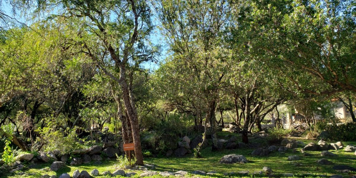 parque-spa-la-quinta-resort