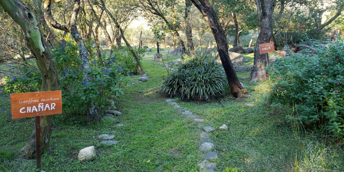 sendero-natural-la-quinta-resort