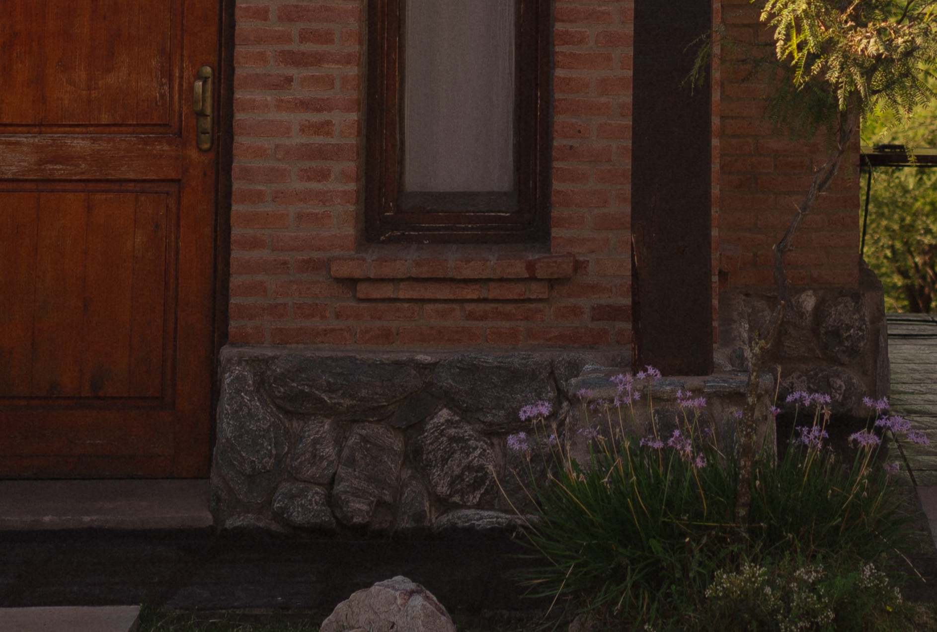 CASSIS FRENTE INGRESO