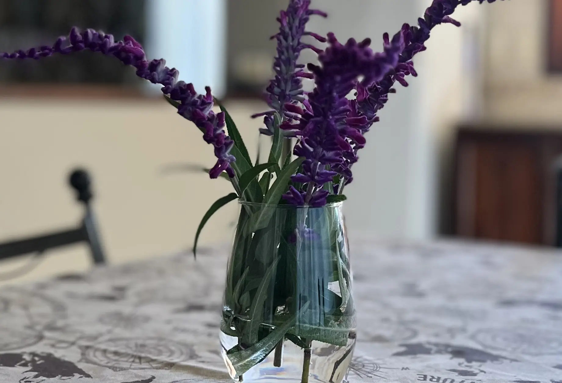 cabaña-boysen-comedor-cocina