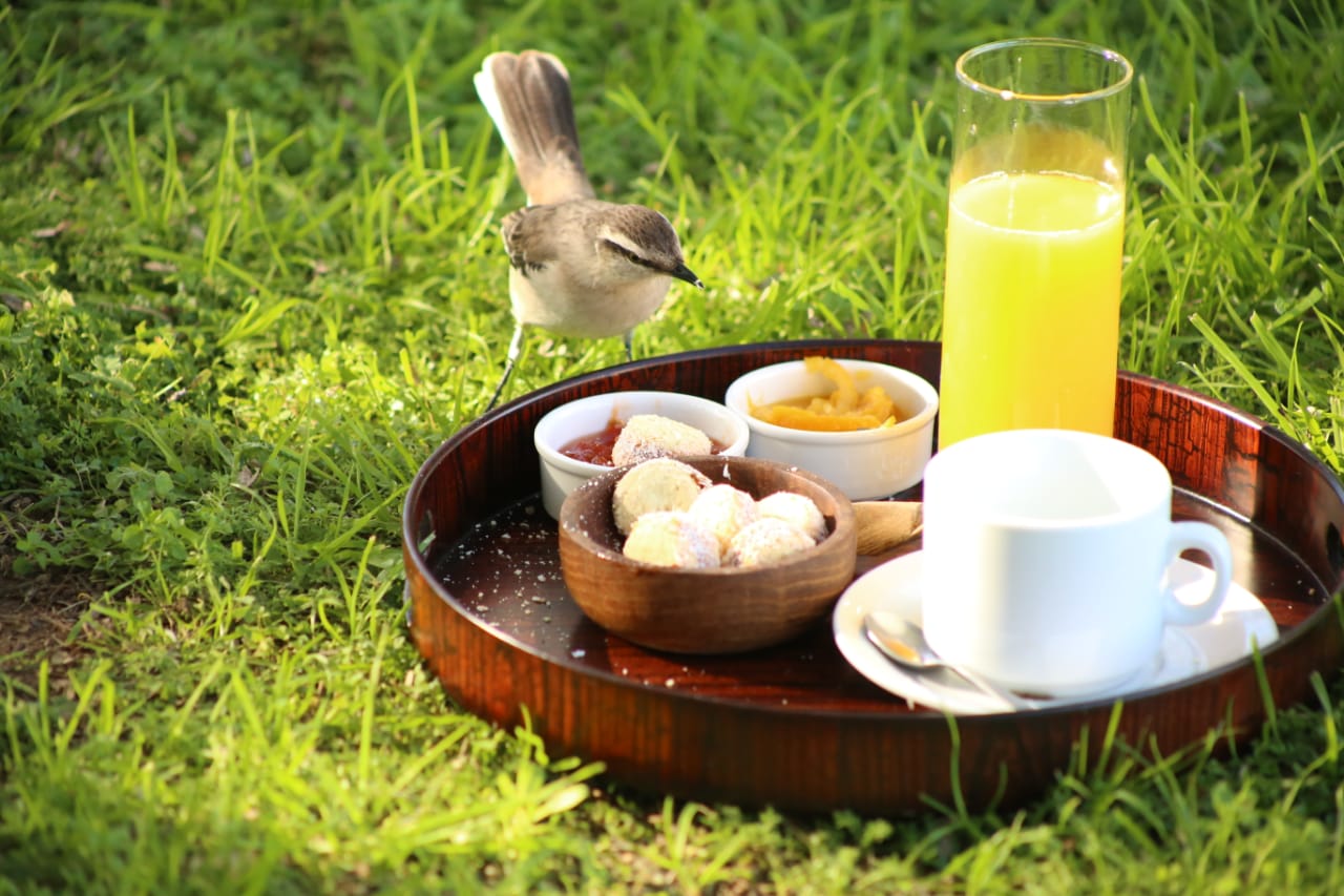 Pájaros a la hora de la merienda