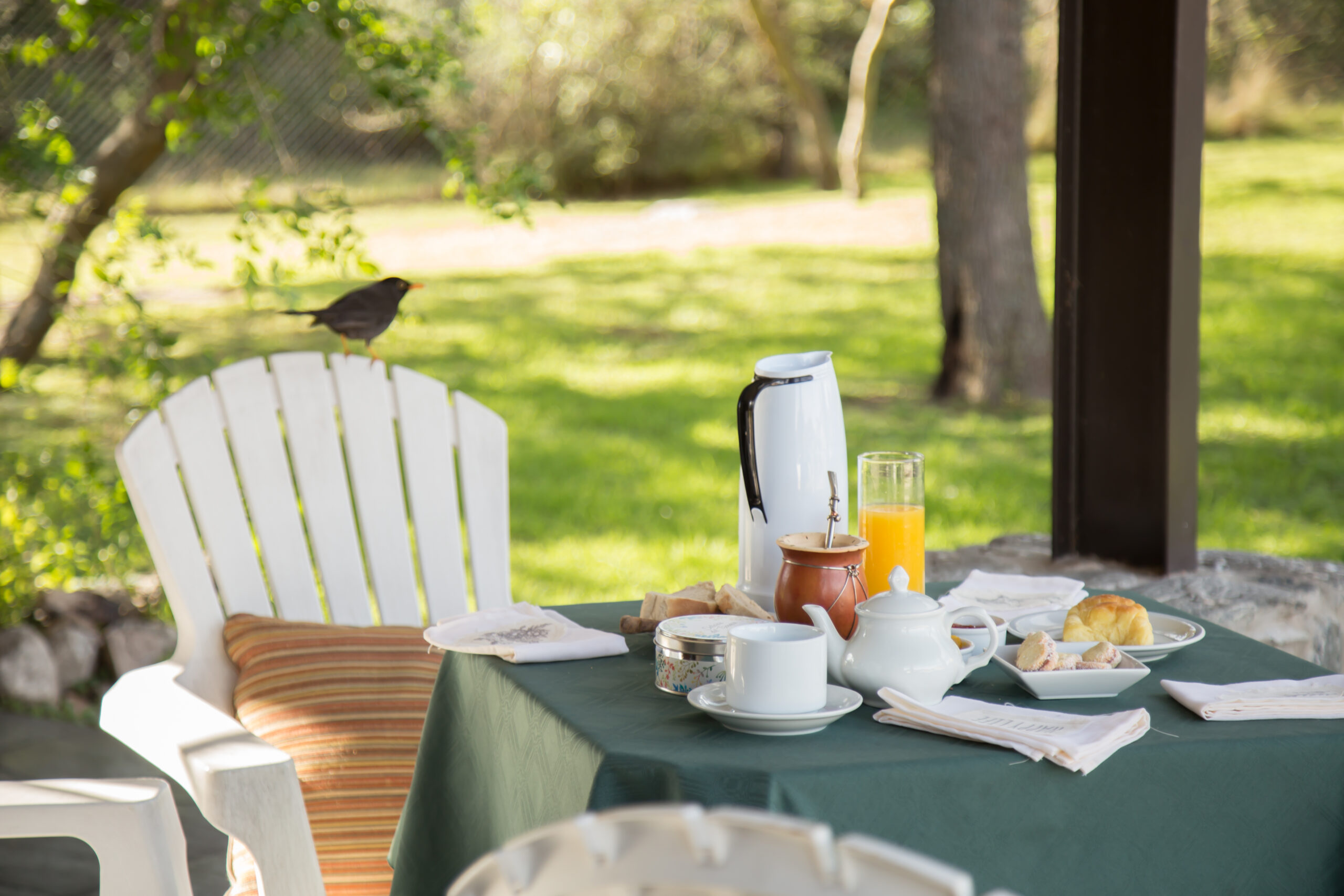 Merienda natural en Merlo, San Luis