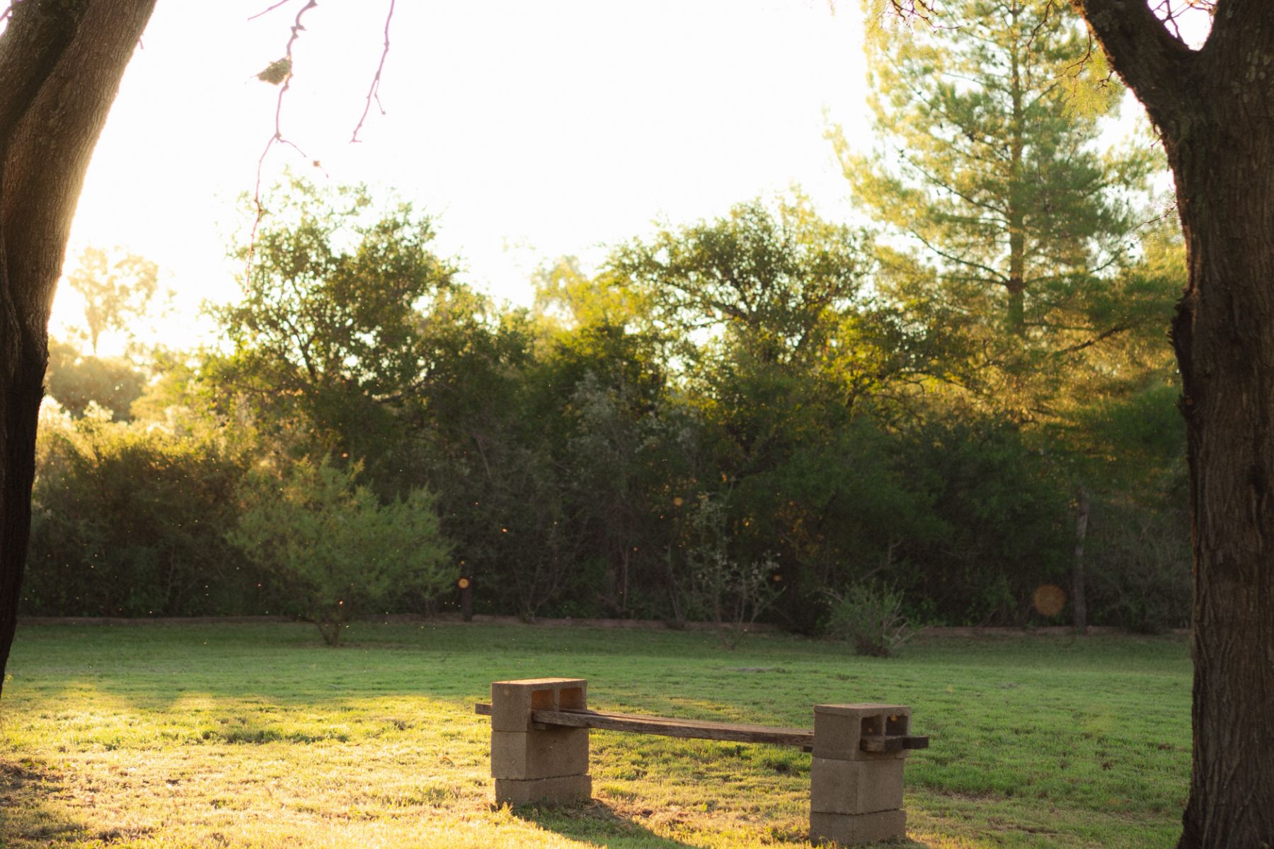 parque-de-algarrobos-merlo-san-luis