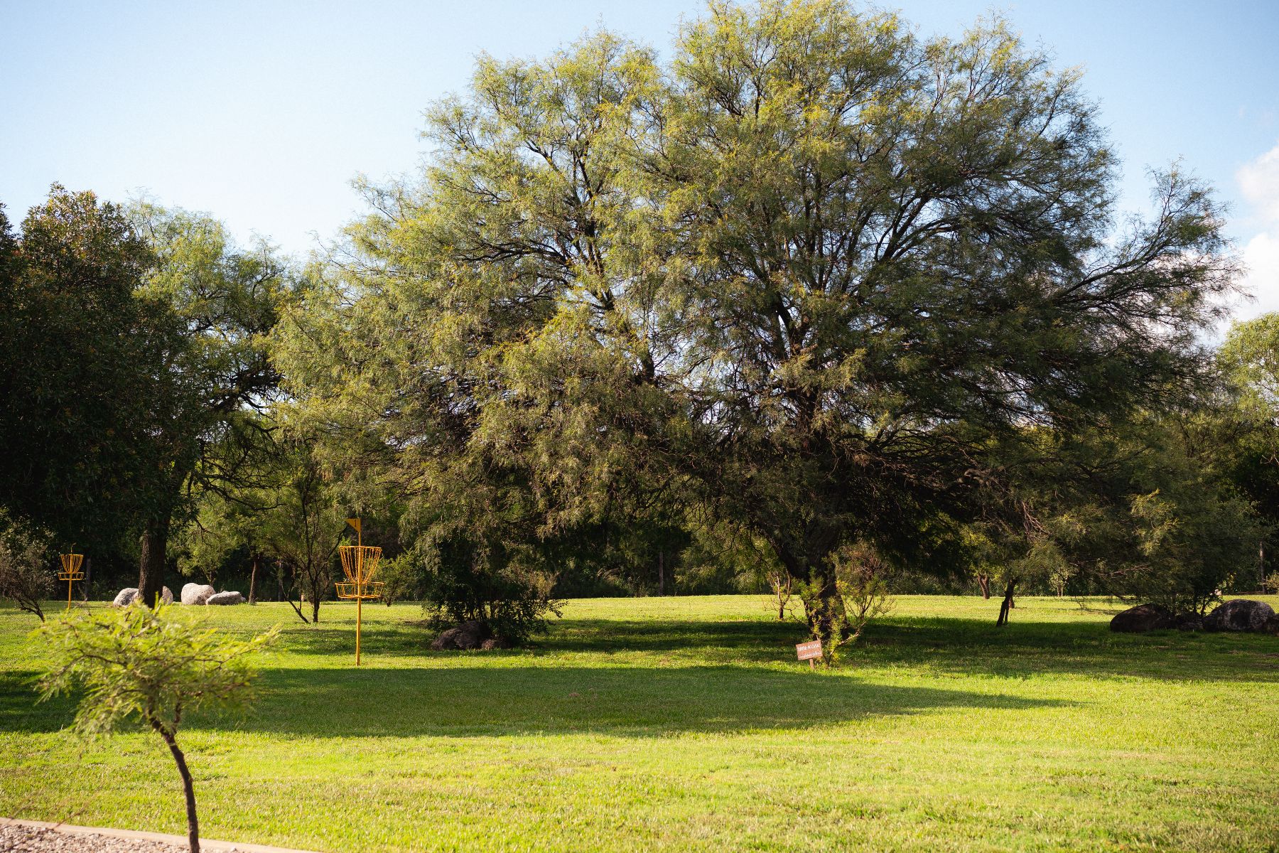 parque-y-frisbee