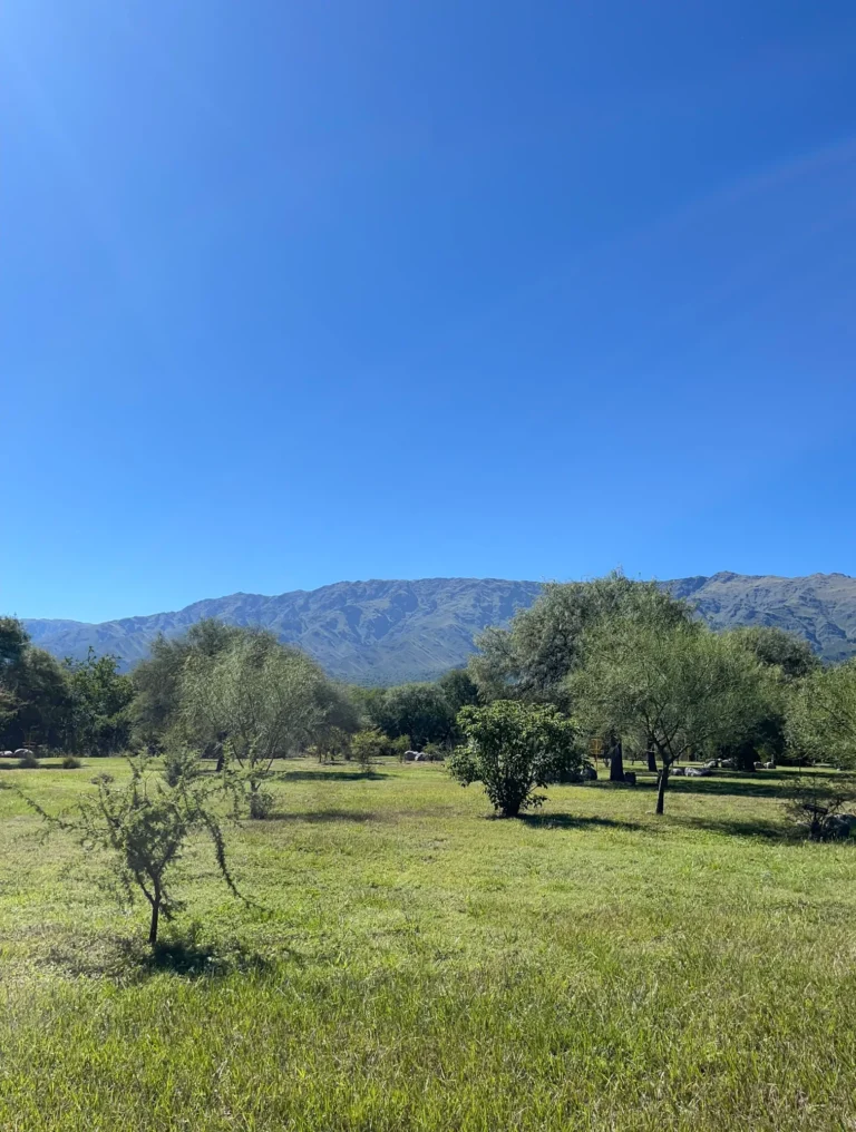 Vista panorámica del parque de La Quinta Resort y las sierras