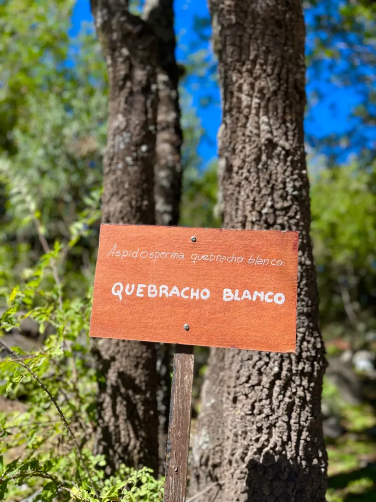 Cartel del quebracho blanco en el paseo de los sentidos